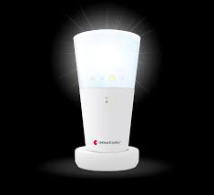 RECEPTOR FLASH BELLMAN & SYMFON VISIT 868 BE1441